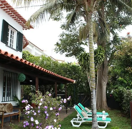 Villa Tulip Tree